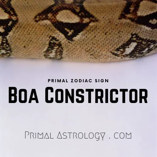 Primal Zodiac Sign of Boa Constrictor