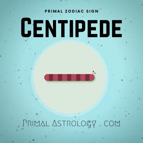 Primal Zodiac Sign of Centipede