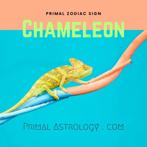 Primal Zodiac Sign of Chameleon