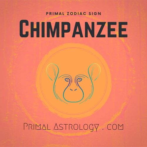 Primal Zodiac Sign of Chimpanzee