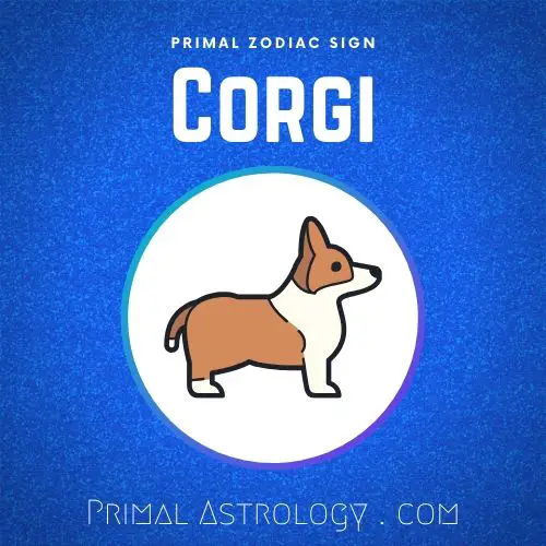 Primal Zodiac Sign of Corgi