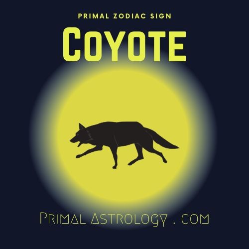 Primal Zodiac Sign of Coyote