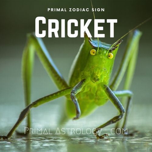 Primal Zodiac Sign of Cricket