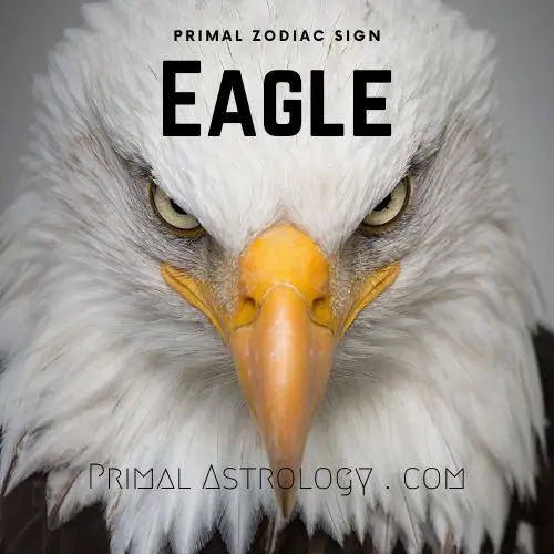 Primal Zodiac Sign of Eagle