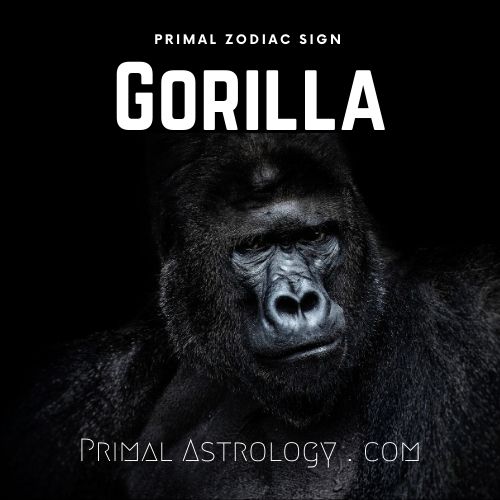 Primal Zodiac Sign of Gorilla
