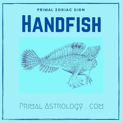 Primal Zodiac Sign of Handfish