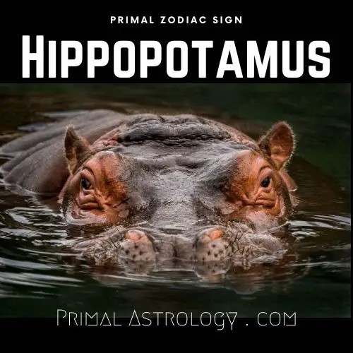 Primal Zodiac Sign of Hippopotamus