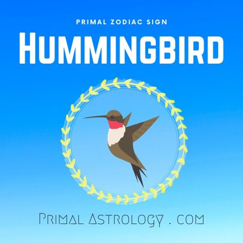Primal Zodiac Sign of Hummingbird