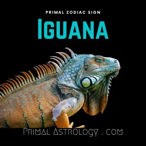 Primal Zodiac Sign of Iguana