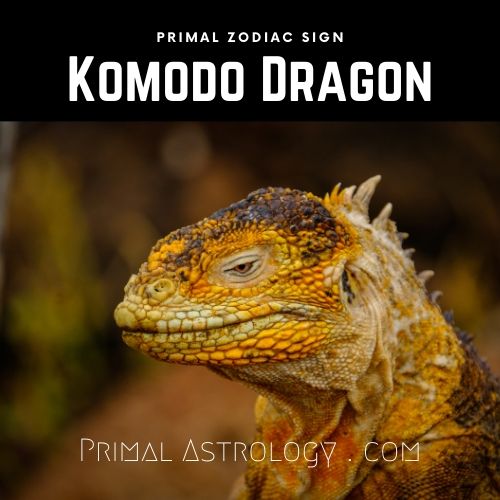 Primal Zodiac Sign of Komodo Dragon
