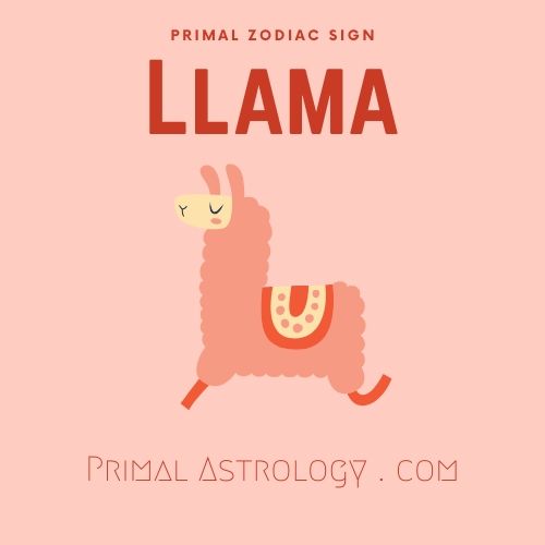 Primal Zodiac Sign of Llama