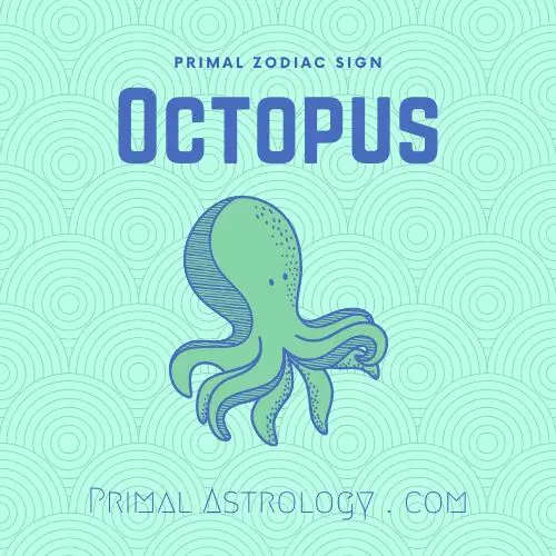 Primal Zodiac Sign of Octopus