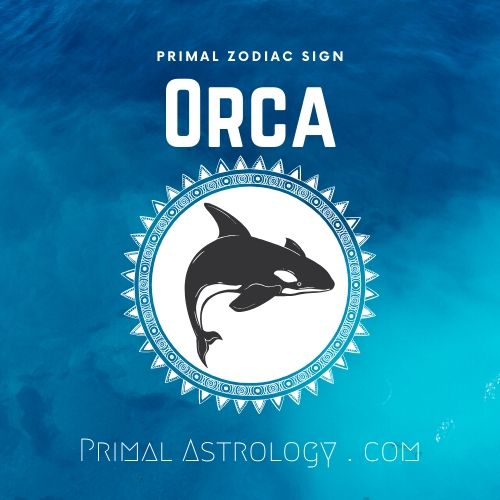 Primal Zodiac Sign of Orca