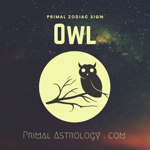 Primal Zodiac Sign of Owl