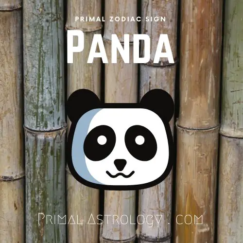 Primal Astrology - Spirit of the Panda Primal Astrology - Spirit of the Panda