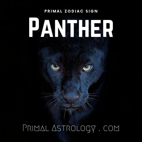 Primal Zodiac Sign of Panther