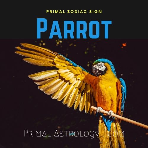 Primal Zodiac Sign of Parrot