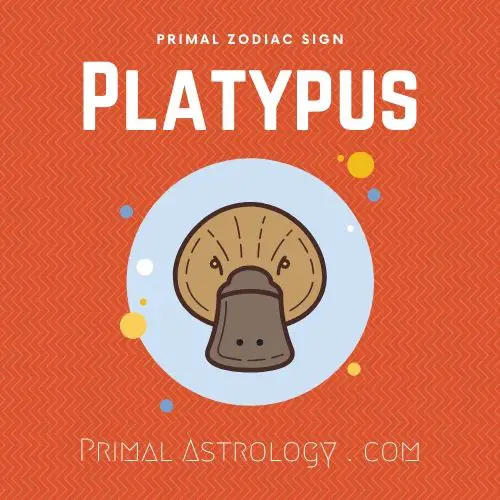 Primal Zodiac Sign of Platypus