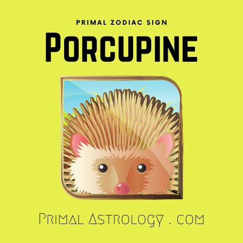 Primal Zodiac Sign of Porcupine