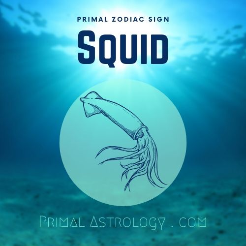 Primal Zodiac Sign of Squid