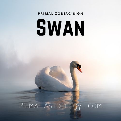 Primal Astrology - Spirit of the Swan