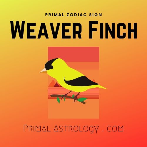 Primal Zodiac Sign of Weaver Finch