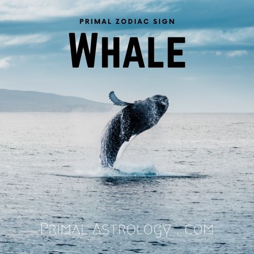 Primal Astrology - Spirit of the Whale