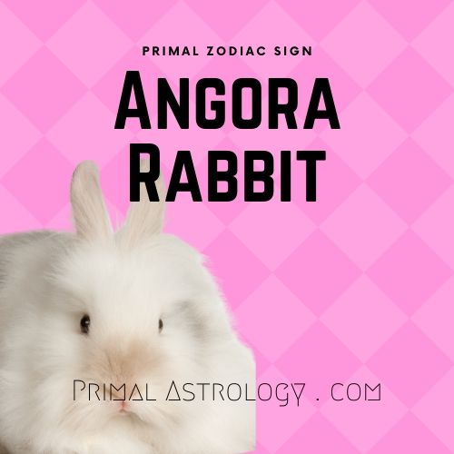 Primal Zodiac Sign of Angora Rabbit
