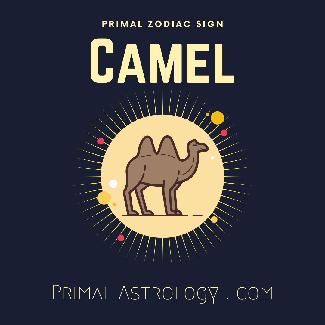Primal Zodiac Sign of Camel