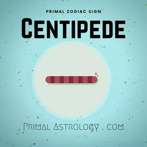 Primal Zodiac Sign of Centipede