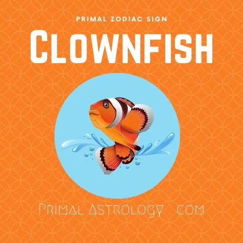 Primal Zodiac Sign of Clownfish