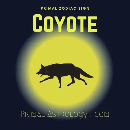Primal Zodiac Sign of Coyote