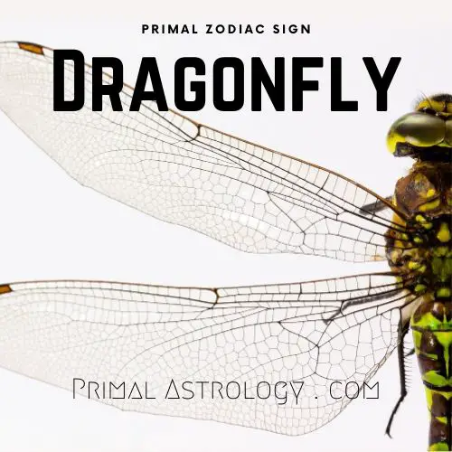 Primal Zodiac Sign of Dragonfly