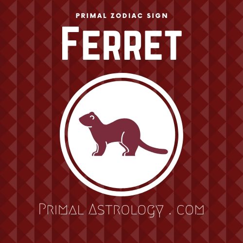Primal Zodiac Sign of Ferret