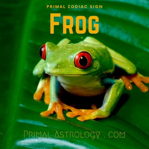 Primal Zodiac Sign of Frog