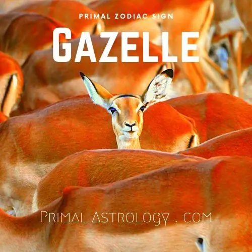 Primal Zodiac Sign of Gazelle