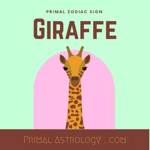 Primal Zodiac Sign of Giraffe