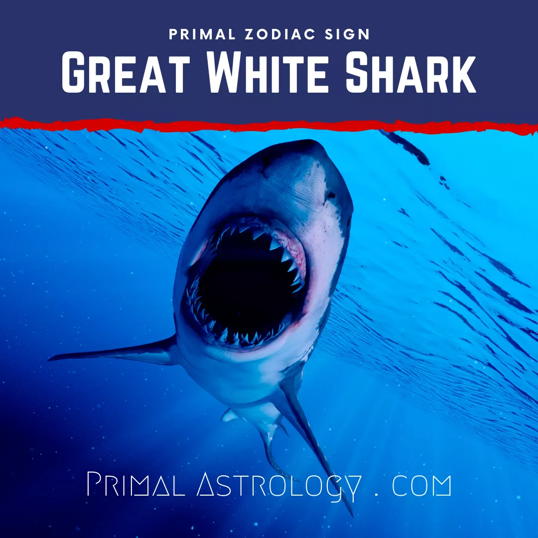 Primal Zodiac Sign of Great White Shark