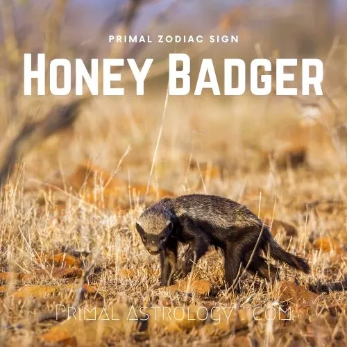 Primal Zodiac Sign of Honey Badger