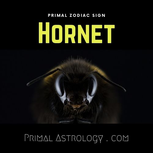 Primal Zodiac Sign of Hornet