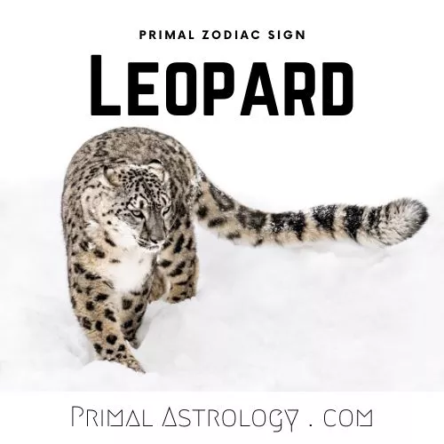 Primal Zodiac Sign of Leopard