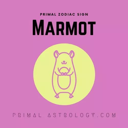Primal Zodiac Sign of Marmot