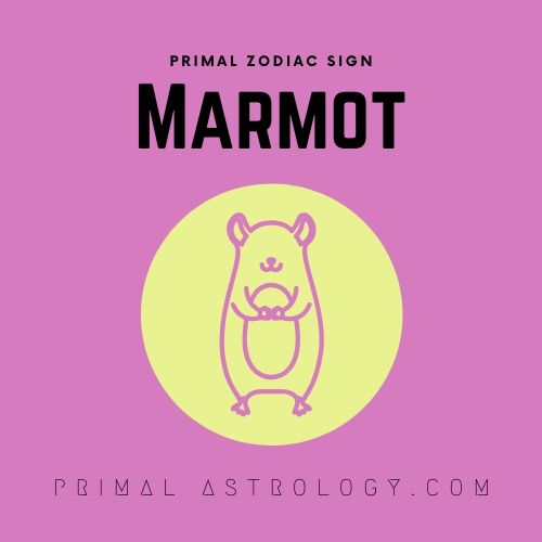 Primal Zodiac Sign of Marmot