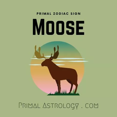 Primal Zodiac Sign of Moose