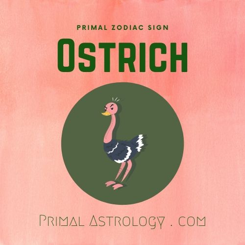 Primal Zodiac Sign of Ostrich