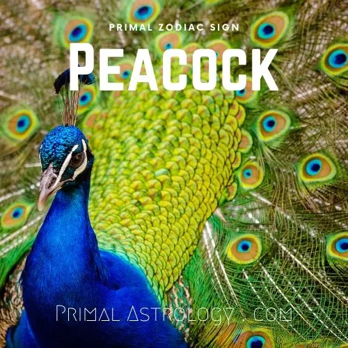 Primal Zodiac Sign of Peacock
