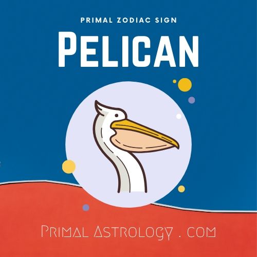 Primal Zodiac Sign of Pelican