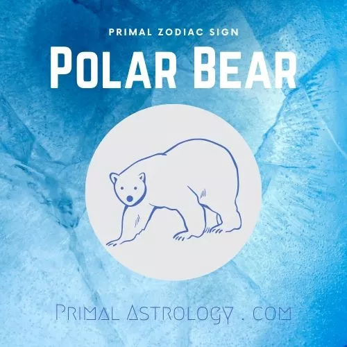 Primal Zodiac Sign of Polar Bear
