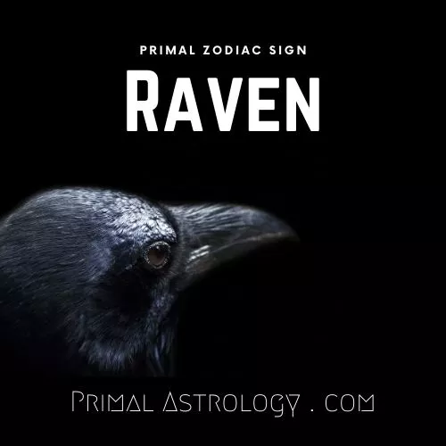 Primal Zodiac Sign of Raven