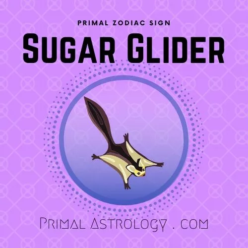 Primal Zodiac Sign of Sugar Glider